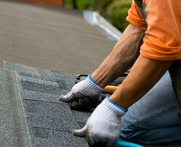 Best Roof Maintenance Services  in Mill Creek East, WA